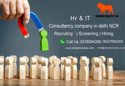 Best IT Recruitment agency in Delhi NCR | india